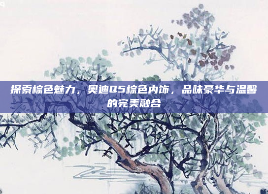 探索棕色魅力,奥迪Q5棕色内饰,品味豪华与温馨的完美融合