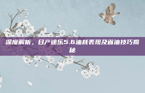 深度解析,日产途乐5.6油耗表现及省油技巧揭秘