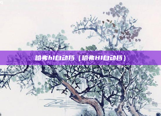 哈弗h1自动挡（哈弗H1自动挡）