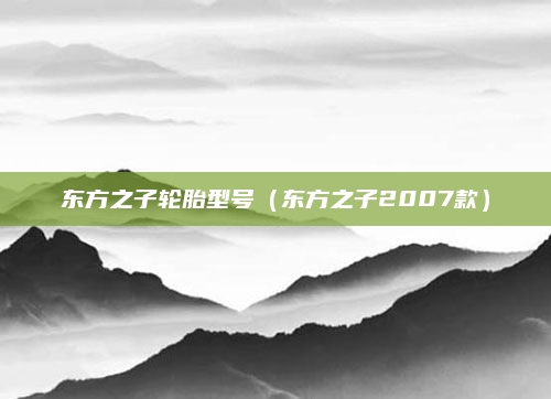东方之子轮胎型号（东方之子2007款）