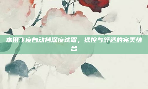 本田飞度自动挡深度试驾,操控与舒适的完美结合