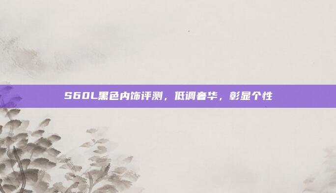 S60L黑色内饰评测,低调奢华,彰显个性
