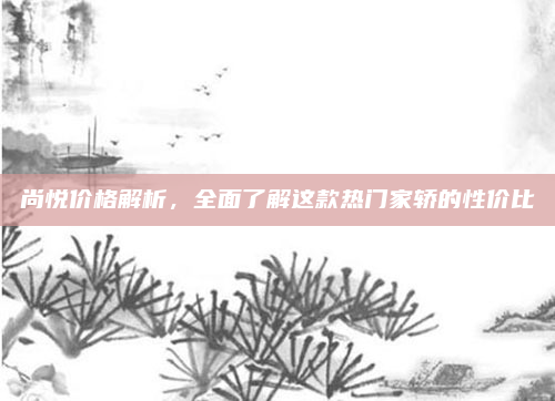 尚悦价格解析,全面了解这款热门家轿的性价比
