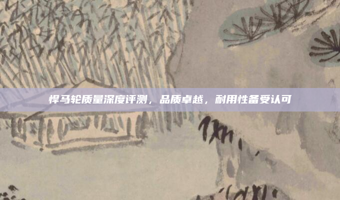悍马轮质量深度评测，品质卓越，耐用性备受认可