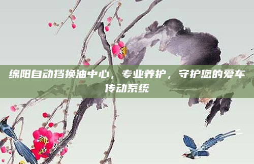 绵阳自动挡换油中心，专业养护，守护您的爱车传动系统