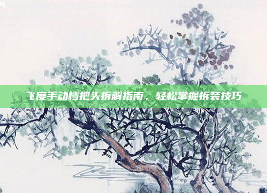飞度手动档把头拆解指南，轻松掌握拆装技巧