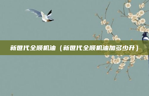 新世代全顺机油（新世代全顺机油加多少升）