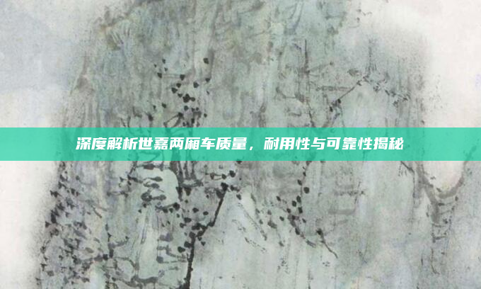 深度解析世嘉两厢车质量,耐用性与可靠性揭秘