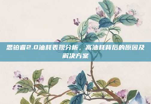 思铂睿2.0油耗表现分析,高油耗背后的原因及解决方案