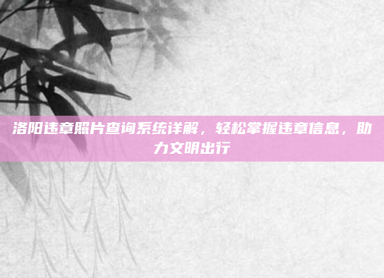 洛阳违章照片查询系统详解,轻松掌握违章信息,助力文明出行