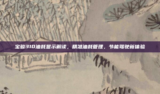 宝骏310油耗显示解读,精准油耗管理,节能驾驶新体验