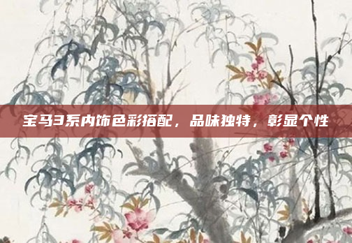 宝马3系内饰色彩搭配,品味独特,彰显个性