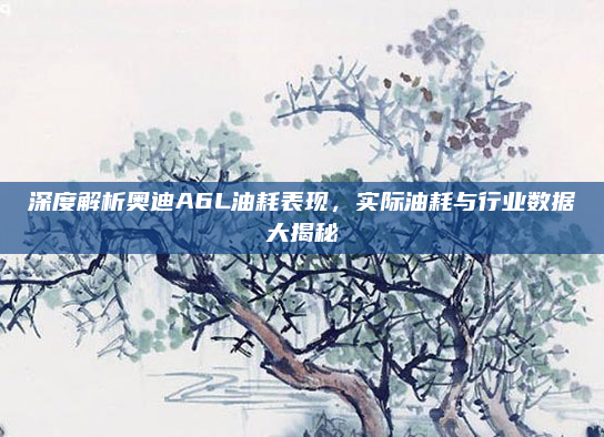 深度解析奥迪A6L油耗表现,实际油耗与行业数据大揭秘