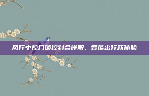 风行中控门锁控制合详解,智能出行新体验