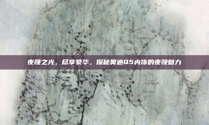 夜晚之光,尽享豪华,探秘奥迪Q5内饰的夜晚魅力