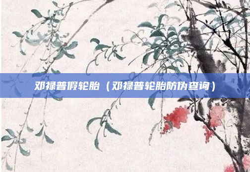 邓禄普假轮胎（邓禄普轮胎防伪查询）