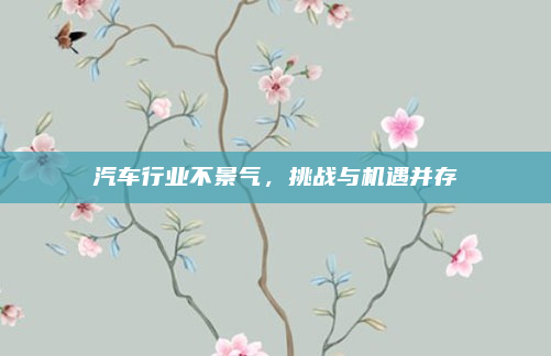 汽车行业不景气，挑战与机遇并存