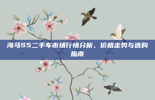 海马S5二手车市场行情分析,价格走势与选购指南