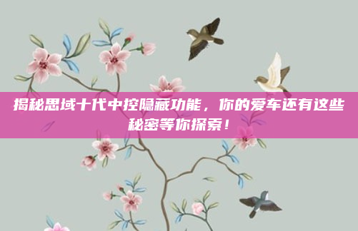 揭秘思域十代中控隐藏功能,你的爱车还有这些秘密等你探索!