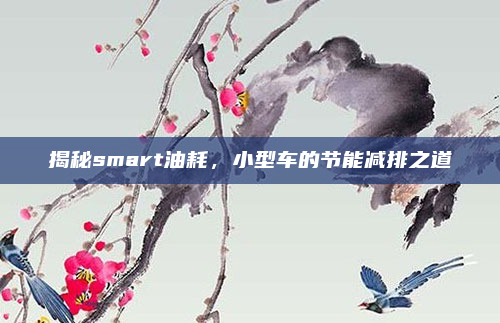 揭秘smart油耗，小型车的节能减排之道