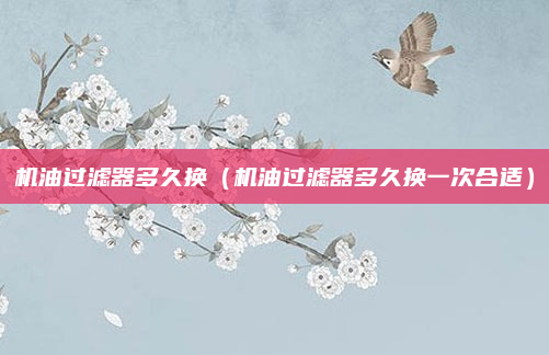 机油过滤器多久换(机油过滤器多久换一次合适)