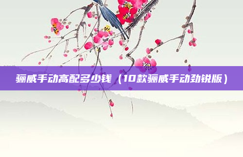 骊威手动高配多少钱（10款骊威手动劲锐版）