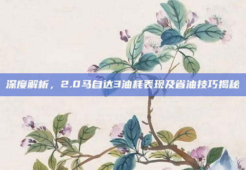 深度解析，2.0马自达3油耗表现及省油技巧揭秘