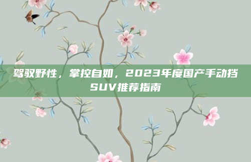 驾驭野性,掌控自如,2023年度国产手动挡SUV推荐指南