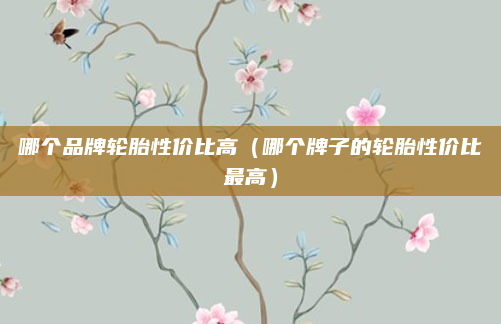 哪个品牌轮胎性价比高（哪个牌子的轮胎性价比最高）