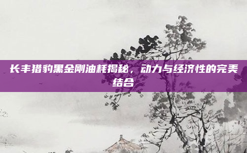 长丰猎豹黑金刚油耗揭秘,动力与经济性的完美结合
