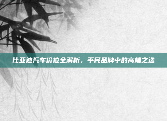 比亚迪汽车价位全解析,平民品牌中的高端之选
