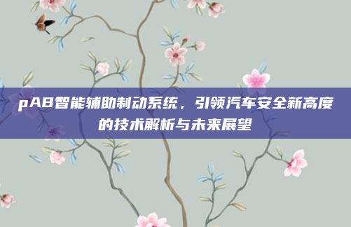 pAB智能辅助制动系统,引领汽车安全新高度的技术解析与未来展望