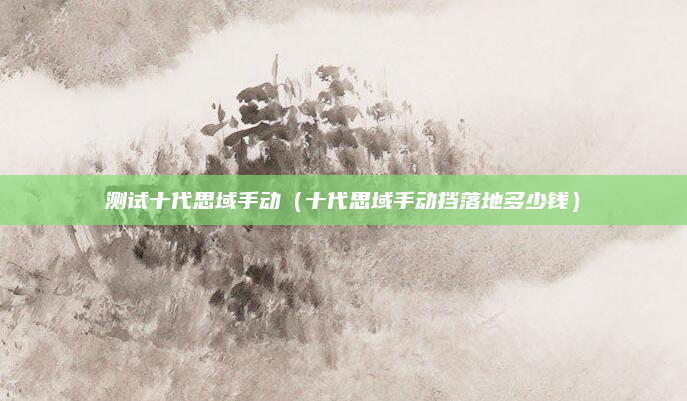 测试十代思域手动（十代思域手动挡落地多少钱）