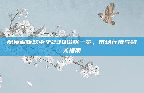 深度解析软中华230价格一览,市场行情与购买指南