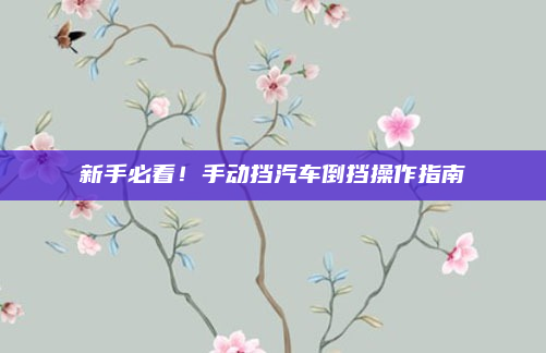 新手必看!手动挡汽车倒挡操作指南