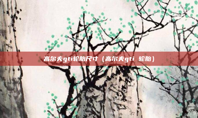 高尔夫gti轮胎尺寸（高尔夫gti 轮胎）
