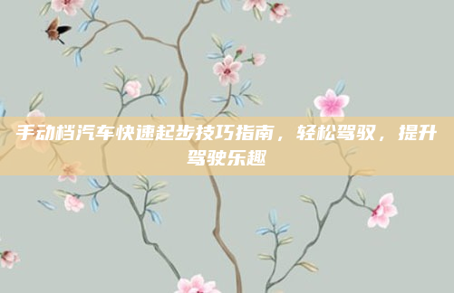手动档汽车快速起步技巧指南,轻松驾驭,提升驾驶乐趣