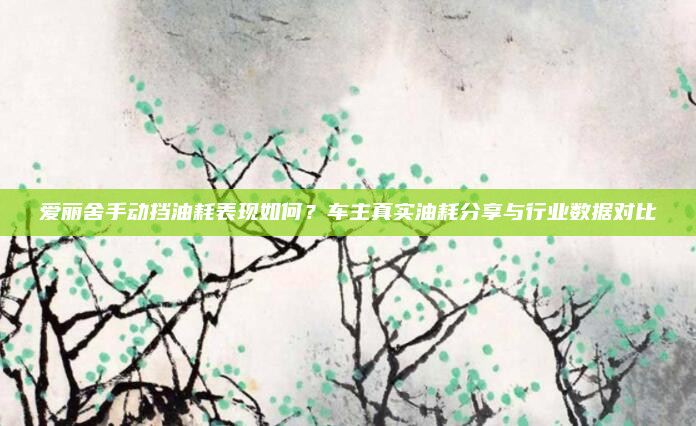 爱丽舍手动挡油耗表现如何?车主真实油耗分享与行业数据对比