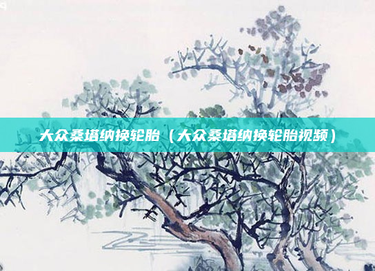 大众桑塔纳换轮胎（大众桑塔纳换轮胎视频）