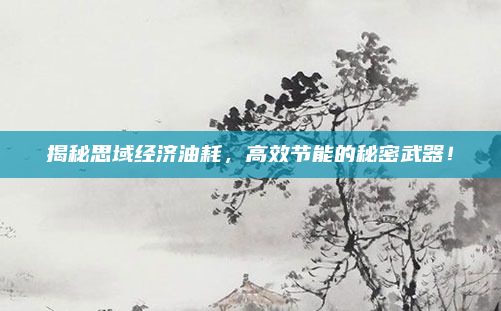 揭秘思域经济油耗，高效节能的秘密武器！