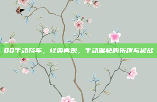 QQ手动挡车，经典再现，手动驾驶的乐趣与挑战