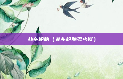 补车轮胎(补车轮胎多少钱)