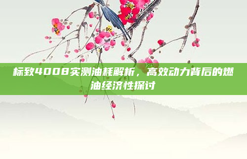 标致4008实测油耗解析，高效动力背后的燃油经济性探讨