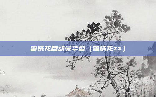雪铁龙自动豪华型(雪铁龙zx)