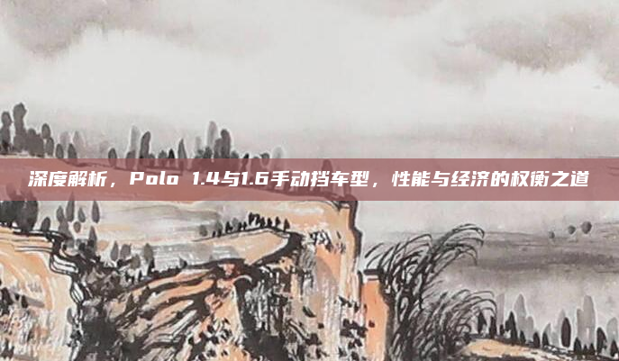 深度解析，Polo 1.4与1.6手动挡车型，性能与经济的权衡之道