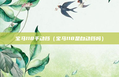宝马118手动挡（宝马118是自动挡吗）