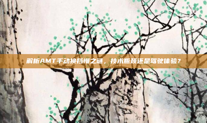 解析AMT手动换挡慢之谜,技术瓶颈还是驾驶体验?