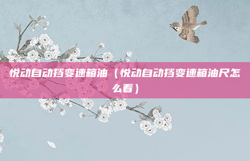 悦动自动挡变速箱油（悦动自动挡变速箱油尺怎么看）