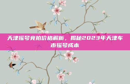 天津摇号竞拍价格解析,揭秘2023年天津车市摇号成本
