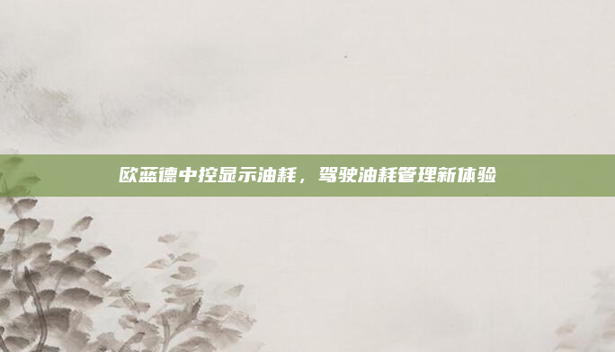 欧蓝德中控显示油耗,驾驶油耗管理新体验